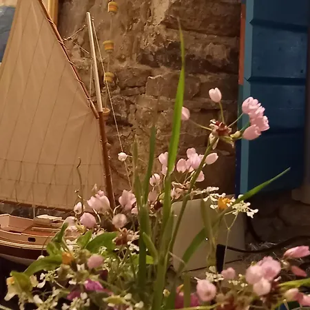 Holiday home Sara&noa Maslinica